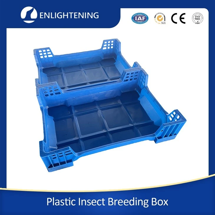 Black Soldier Fly Larvae Box supplier