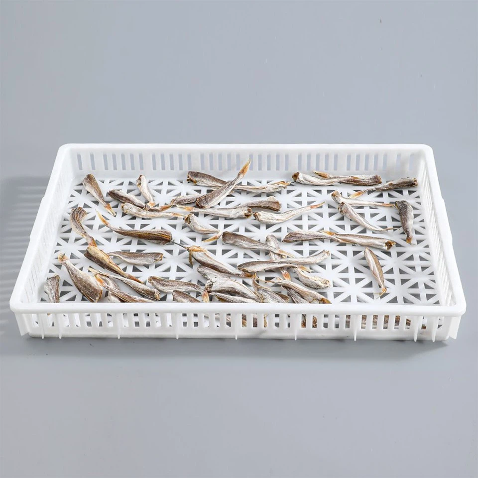 Plastic Vented Drying Trays