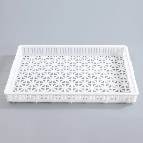 1699344504162 1699344504162