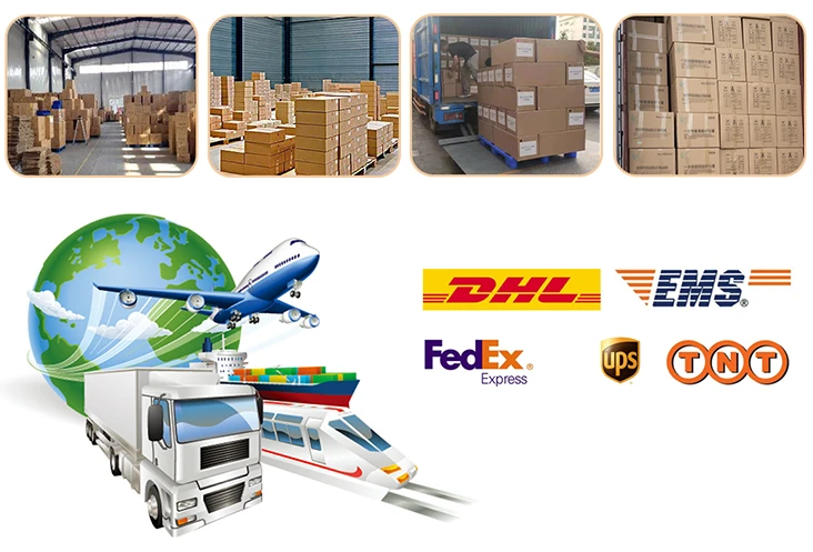 Pet-Feeder-Warehouse-and-Global-Shipping